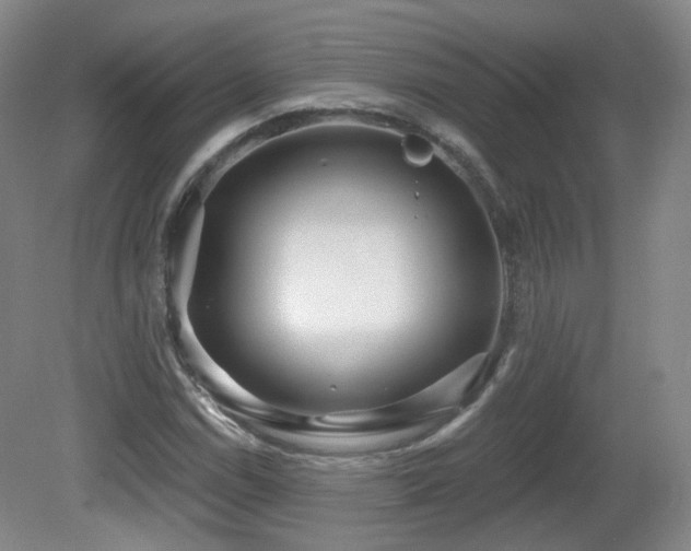X0000081601114200701151332