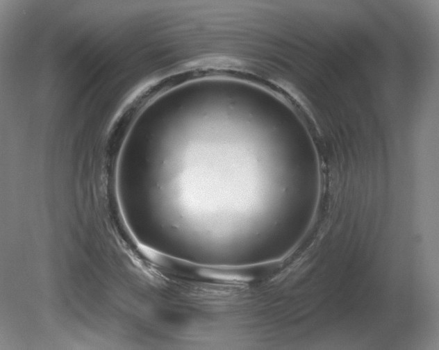 X0000081601115200701151332