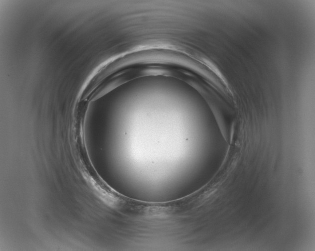 X0000081601116200701151332