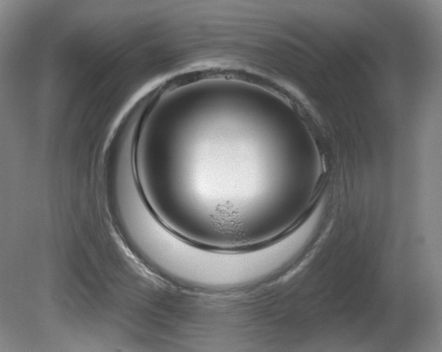 X0000081601118200701151332