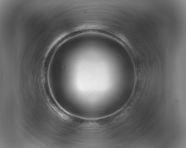 X0000081601119200701151332