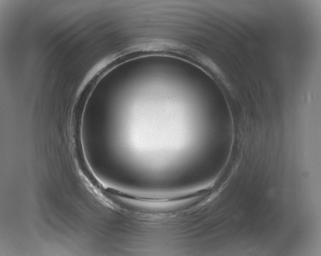 X0000081601122200701151332