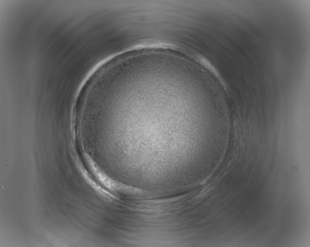 X0000081601124200701151332