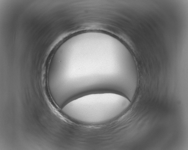 X0000081601126200701151332