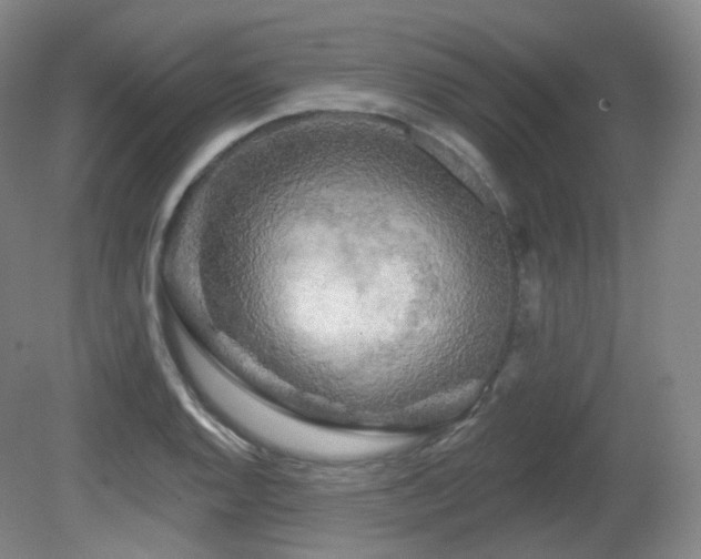 X0000081601128200701151332