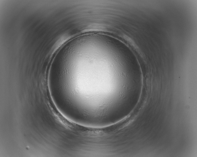 X0000081601129200701151332
