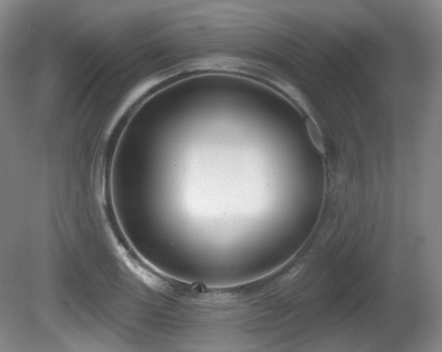 X0000081601131200701151332