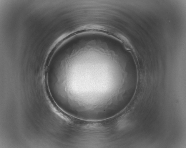 X0000081601133200701151332
