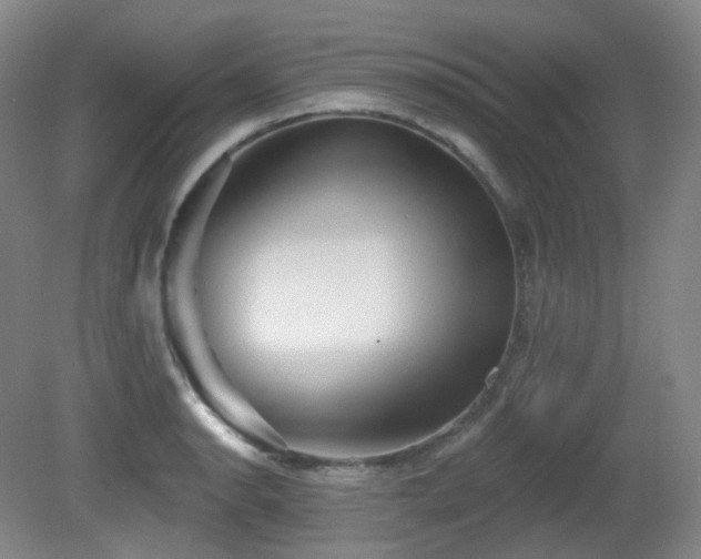 X0000081601134200701151332