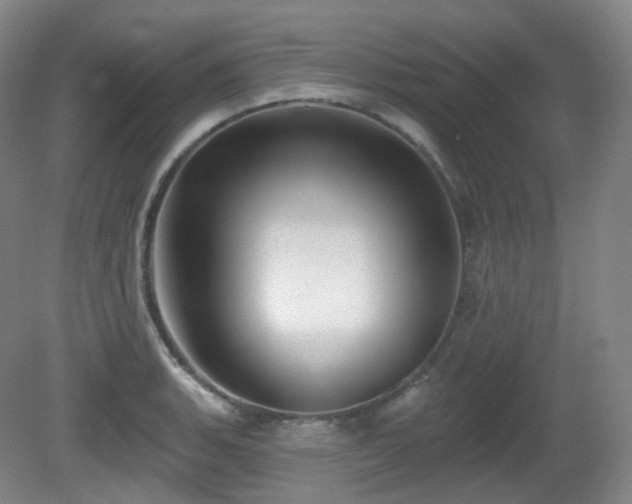X0000081601135200701151332