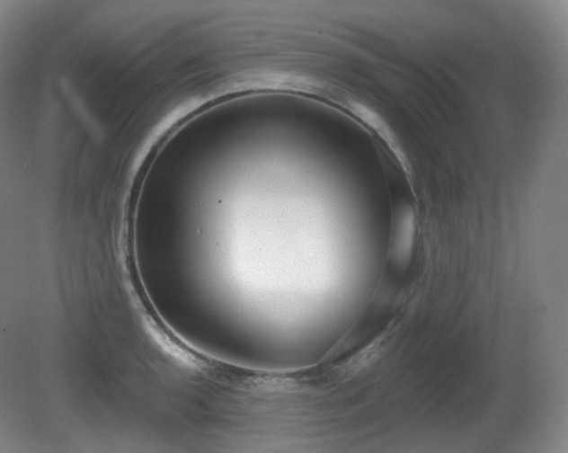 X0000081601136200701151332