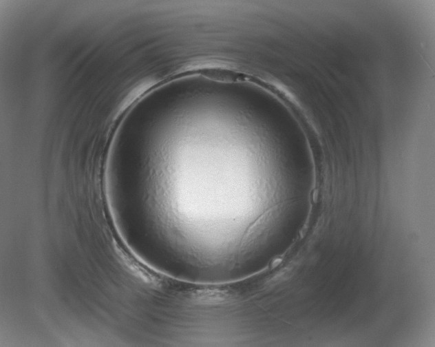 X0000081601137200701151332