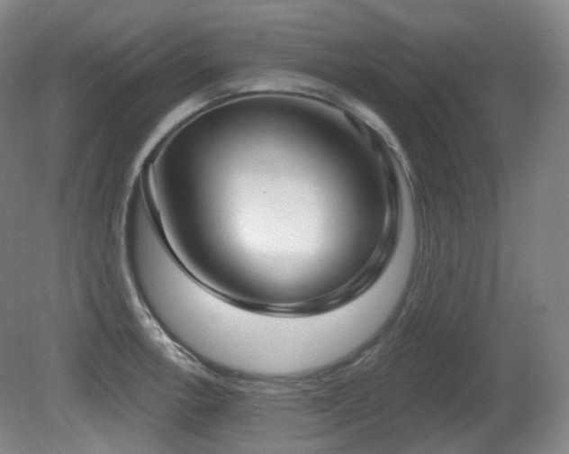 X0000081601138200701151332
