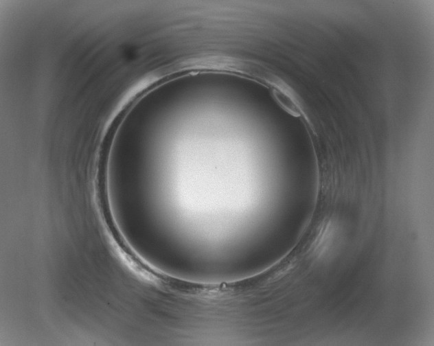 X0000081601139200701151332