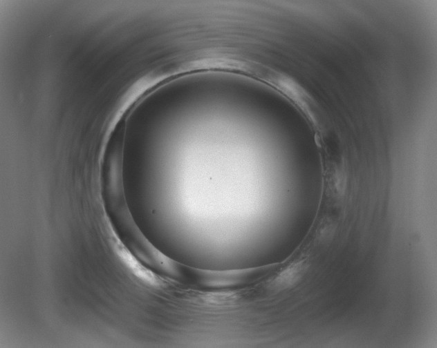 X0000081601140200701151332