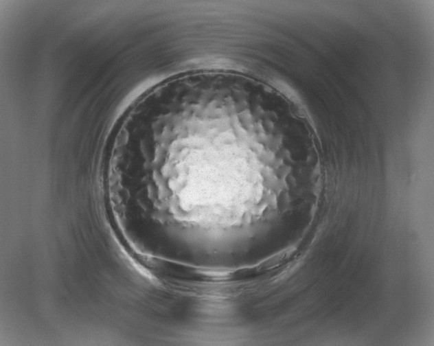 X0000081601141200701151332