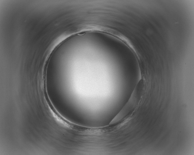 X0000081601143200701151332