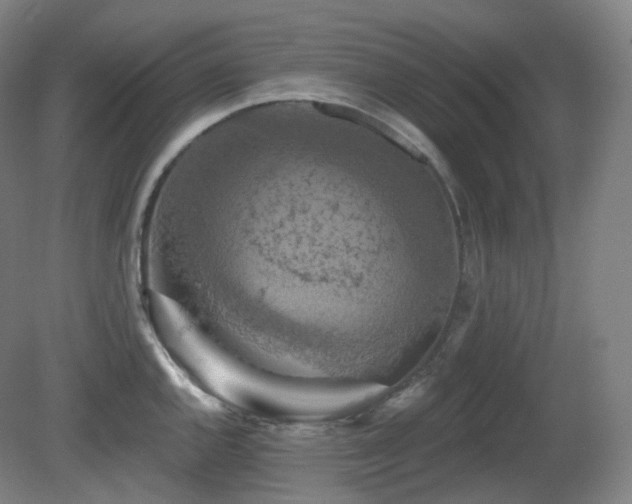 X0000081601144200701151332