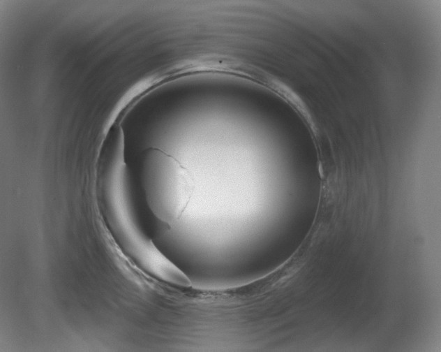 X0000081601146200701151332