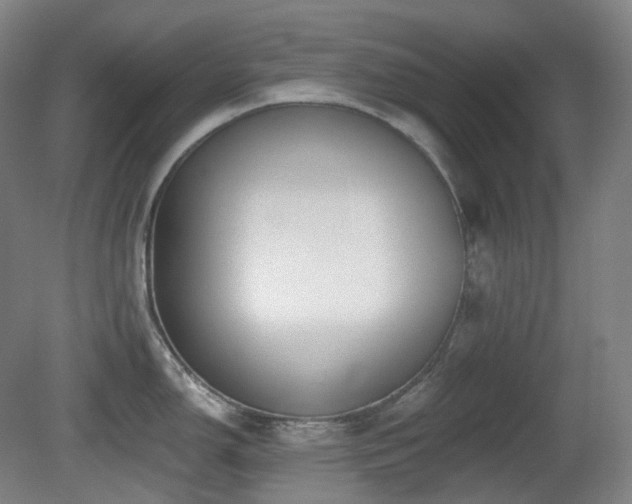X0000081601150200701151332