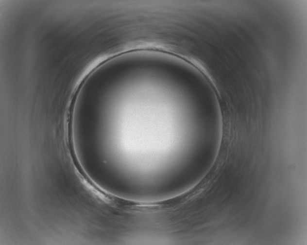X0000081601151200701151332