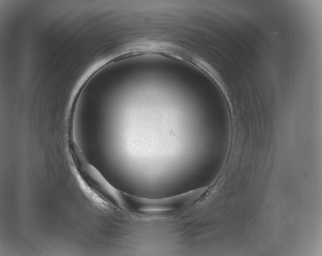 X0000081601152200701151332