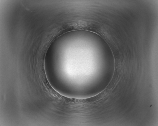 X0000081601153200701151332