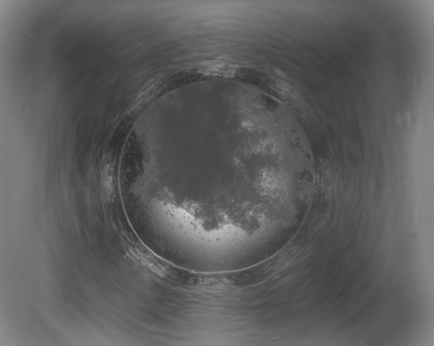 X0000081601154200701151331