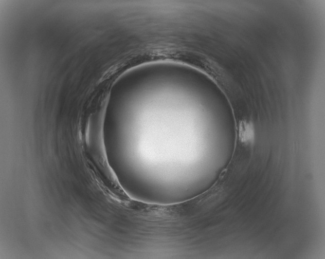 X0000081601155200701151331