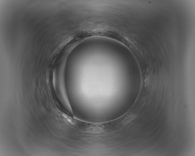 X0000081601156200701151331