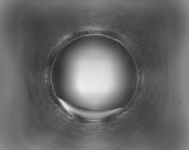 X0000081601157200701151331