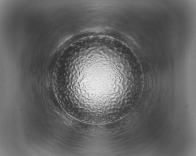 X0000081601158200701151331