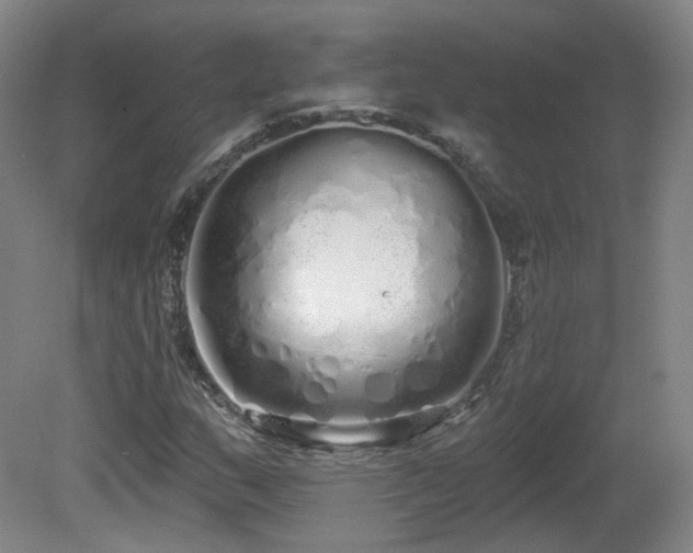 X0000081601159200701151331