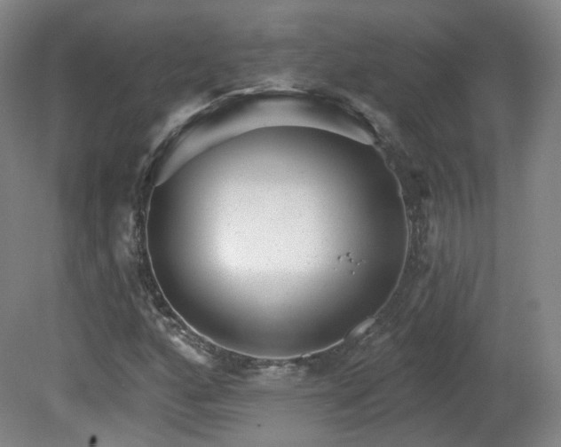 X0000081601160200701151331