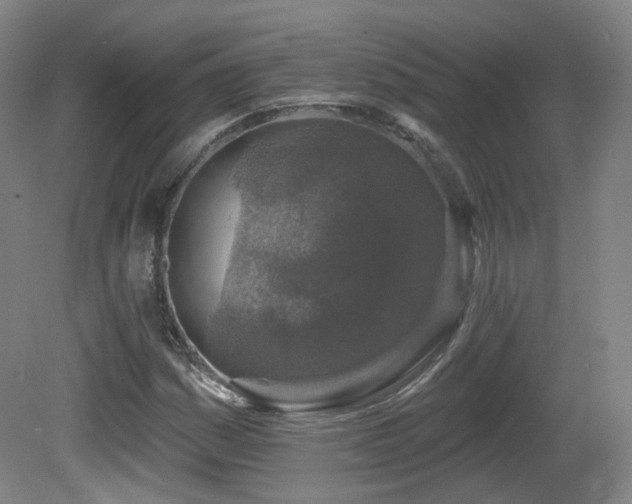 X0000081601161200701151331