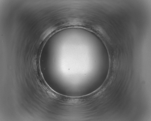 X0000081601162200701151331