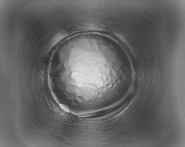 X0000081601163200701151331