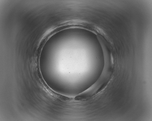 X0000081601164200701151331