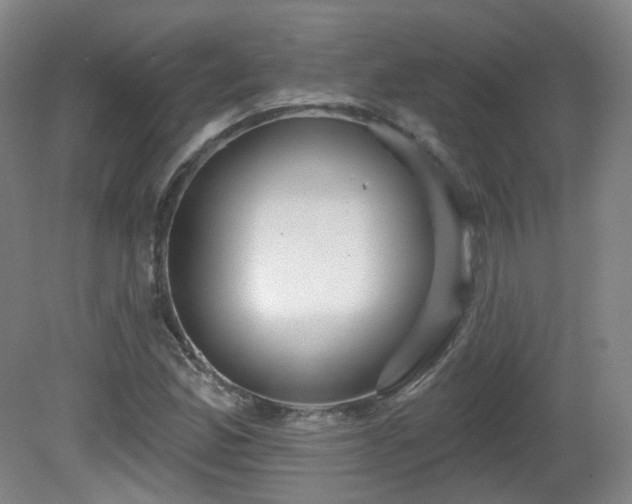 X0000081601165200701151331