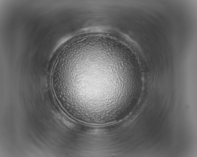 X0000081601166200701151331