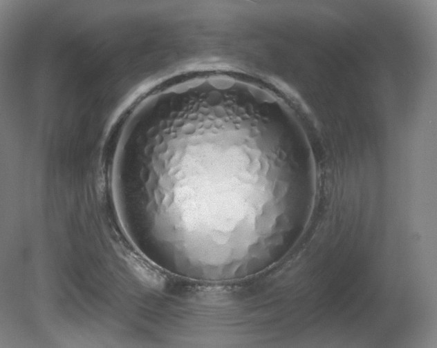 X0000081601167200701151331