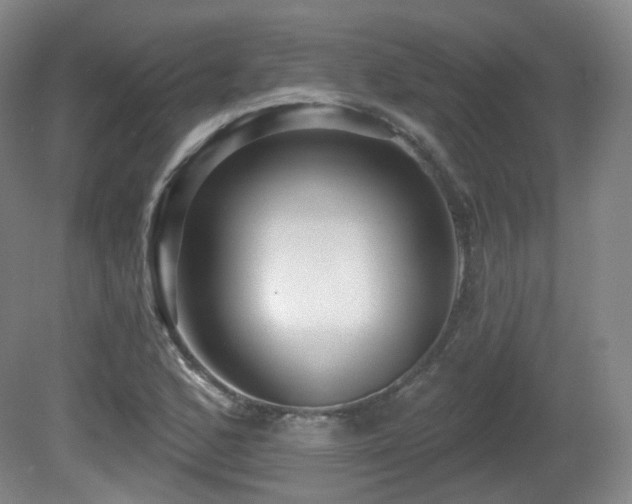 X0000081601168200701151331