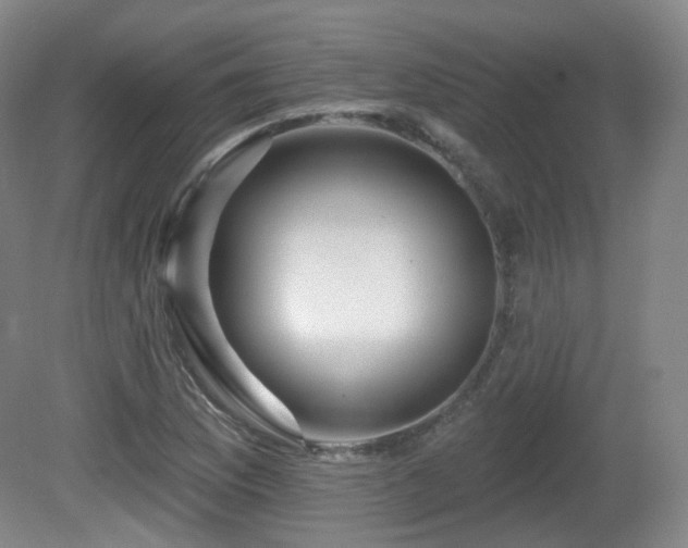 X0000081601169200701151331