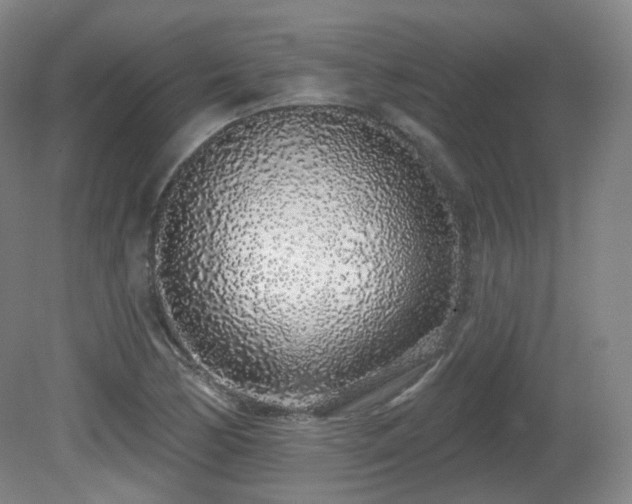 X0000081601170200701151331
