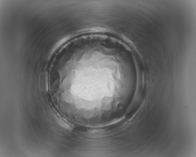 X0000081601171200701151331