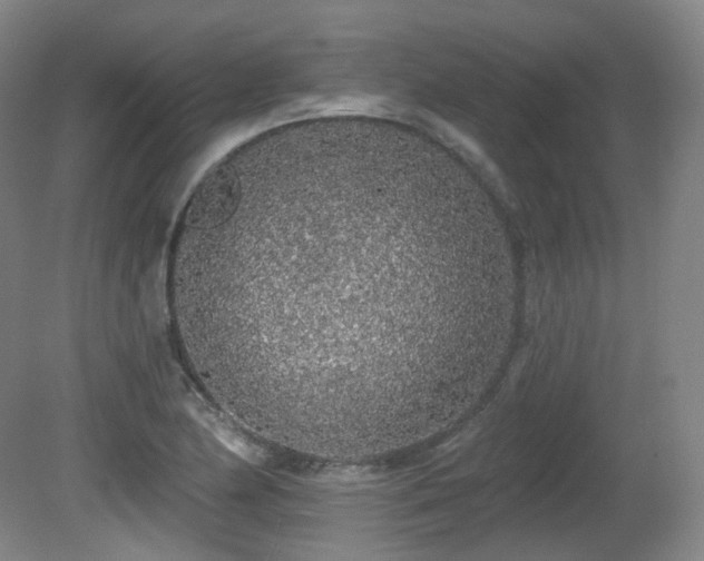 X0000081601174200701151331