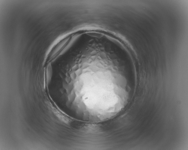 X0000081601175200701151331