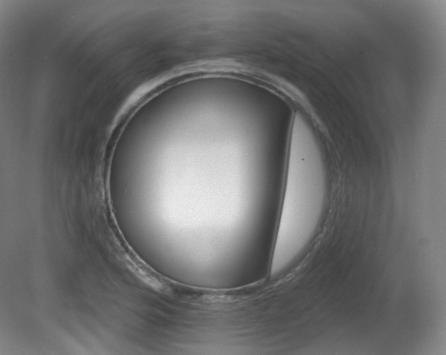 X0000081601176200701151331