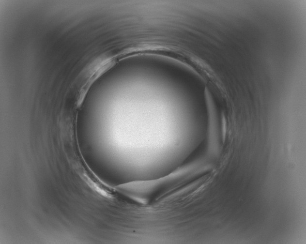 X0000081601177200701151331