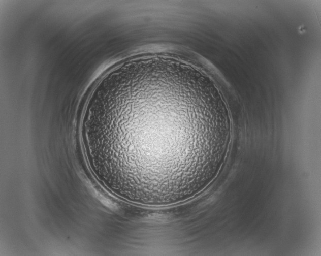 X0000081601178200701151331